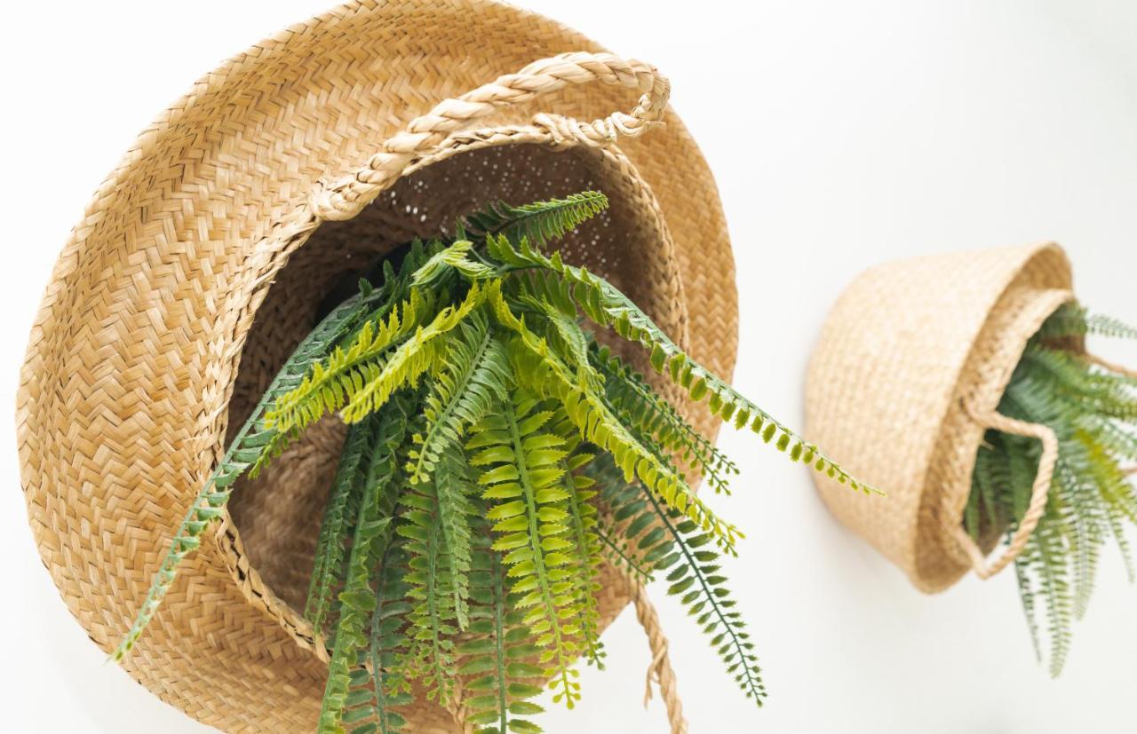 بيت شباب Picnic Dreams Boutique مالقة المظهر الخارجي الصورة